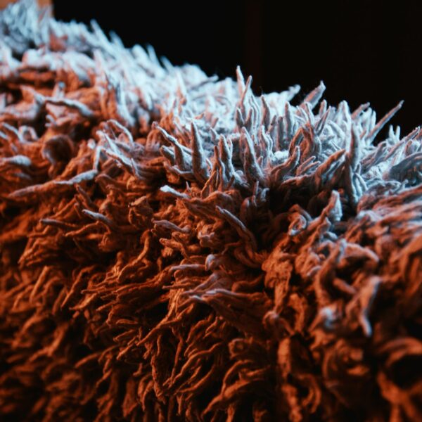 Carpet Cleaning
